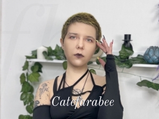 Catefarabee