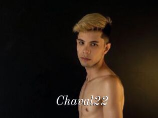 Chaval22