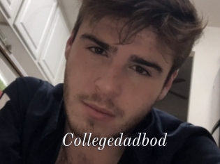 Collegedadbod