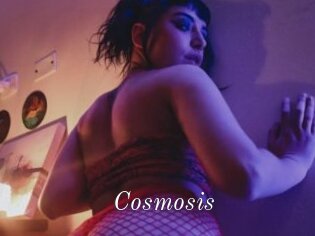 Cosmosis
