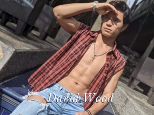 David_Wood