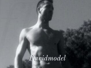 Davidmodel