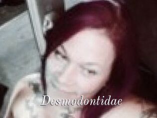 Desmodontidae