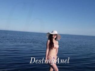 DestinyAnel