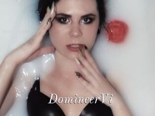 DomineerVi