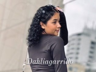 Dahliagarrido