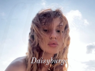 Daisyburge