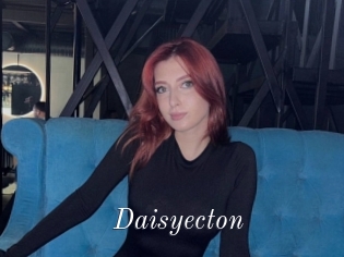 Daisyecton