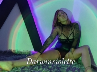 Darwinviolette