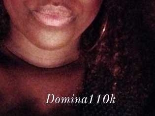 Domina110k