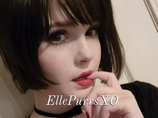 EllePurrsXO