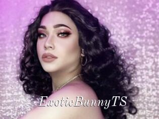 ExoticBunnyTS
