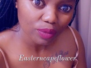 Easterncapeflower
