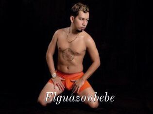 Elguazonbebe