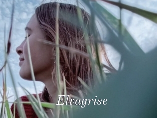 Elvagrise