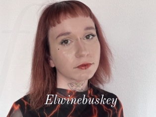 Elwinebuskey
