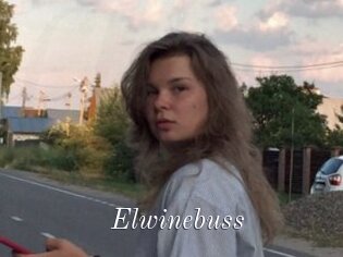 Elwinebuss