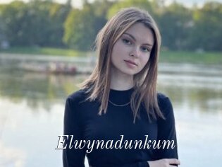 Elwynadunkum