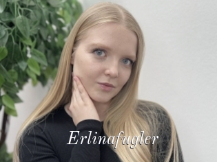 Erlinafugler