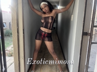 Exoticmimosa