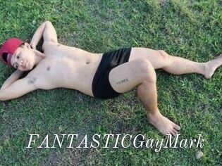 FANTASTICGayMark