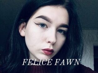 FELICE_FAWN