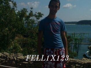FELL1X123