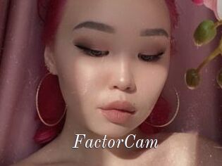 FactorCam