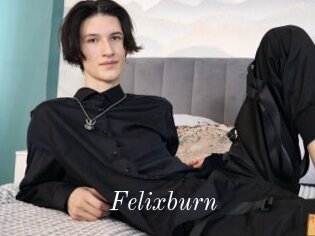 Felixburn