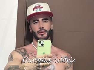 Gawainn_zeldris