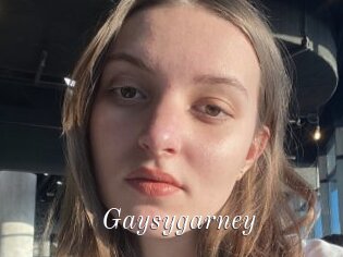 Gaysygarney