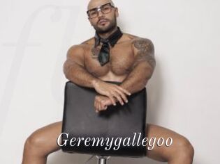 Geremygallegoo