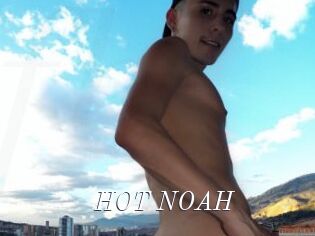 HOT_NOAH