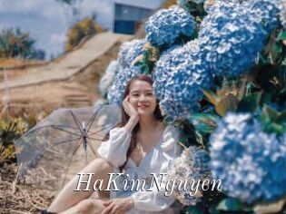HaKimNguyen