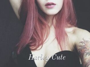 Harley_Cute