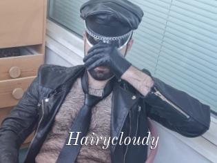 Hairycloudy