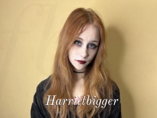 Harrietbigger