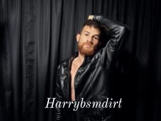 Harrybsmdirt