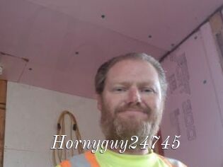 Hornyguy24745