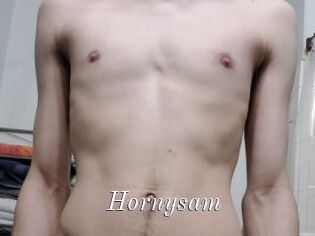 Hornysam