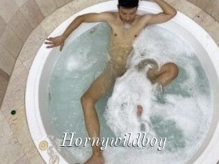 Hornywildboy