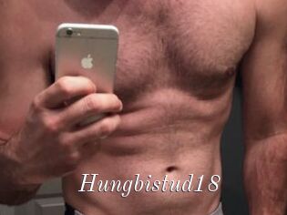Hungbistud18