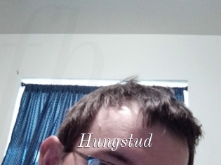 Hungstud