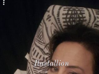 Itastallion