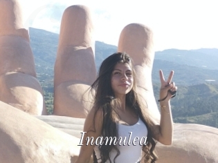 Inamulea