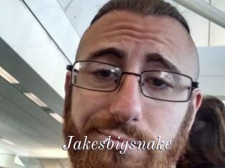 Jakesbigsnake