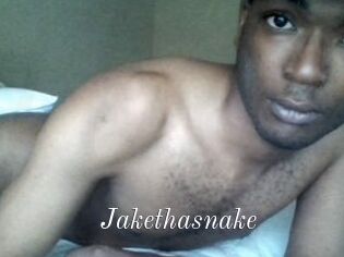 Jake_tha_snake