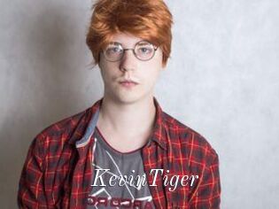 KevinTiger