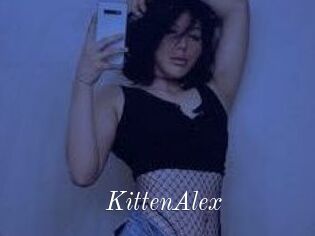 KittenAlex