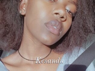 Kesandu